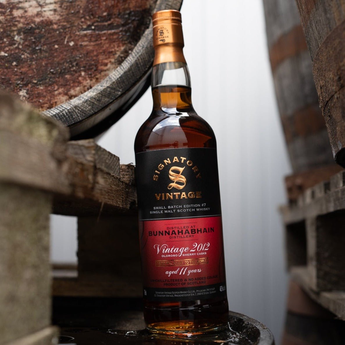 Bunnahabhain | Small Batch Edition #7 | Signatory Vintage | 11 Jahre | 2012/2024 | 48,2%GET A BOTTLE