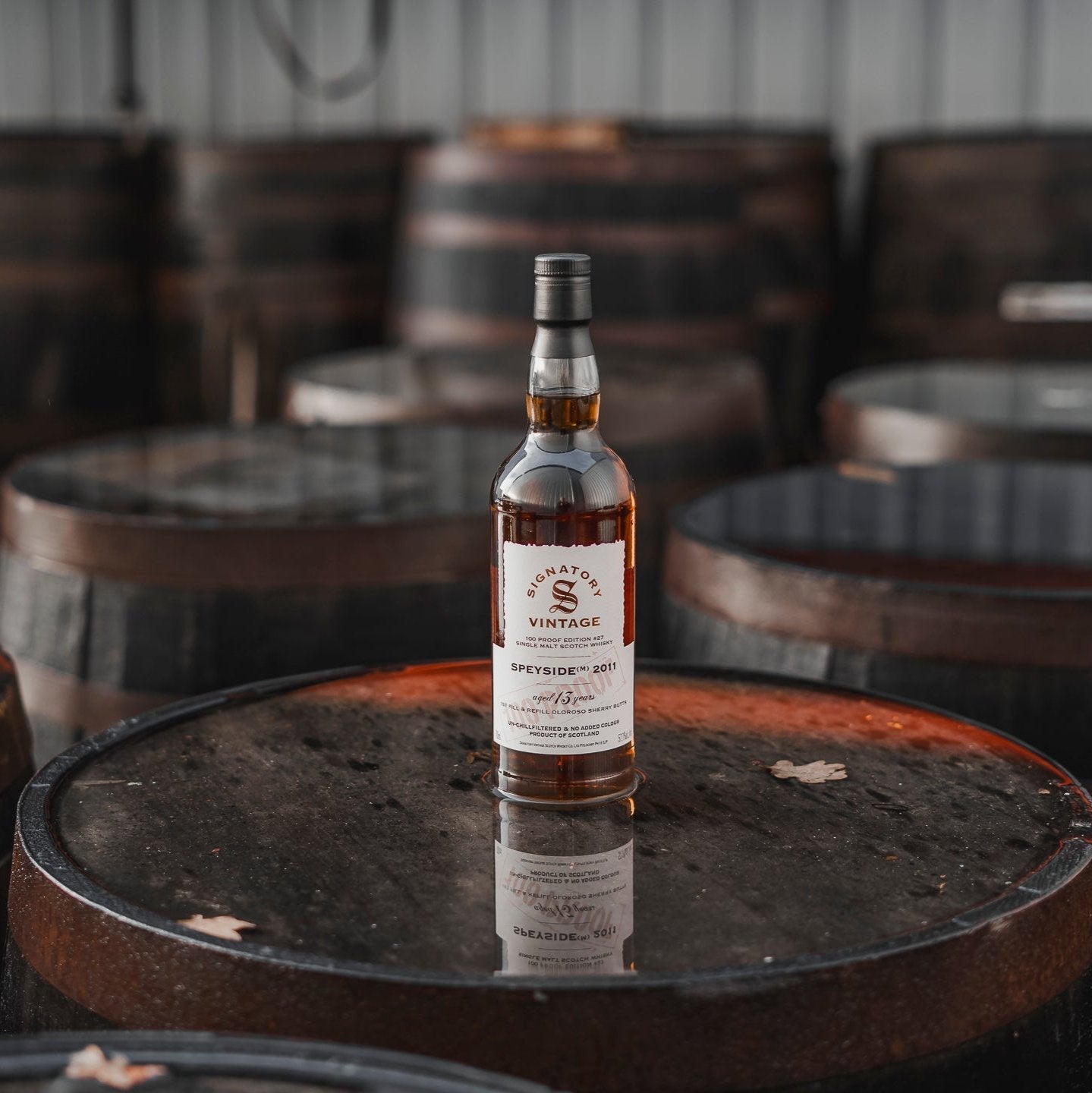 Speyside (M) | 100 Proof Edition #27 | 13 Years | 2011/2024 | Signatory Vintage | 57,1%GET A BOTTLE