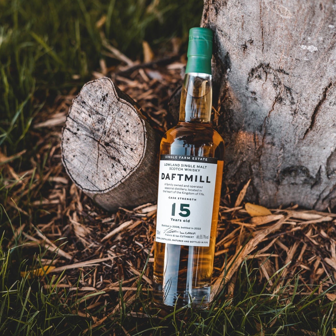 Daftmill | 15 Jahre | 2006/2022 | Cask Strength | 0,7l | 55,7%GET A BOTTLE