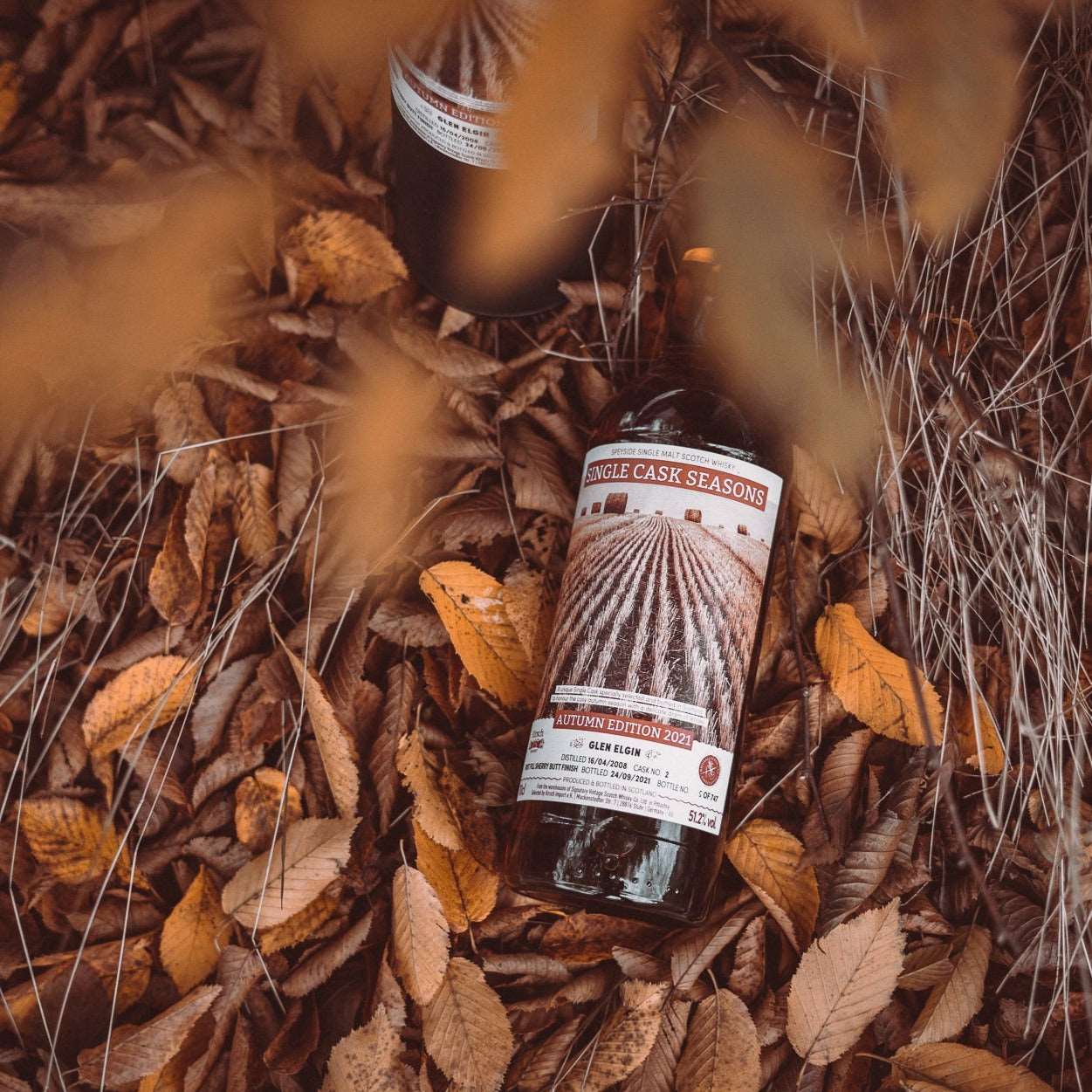 Glen Elgin | 13 Jahre | 2008/2021 | Autumn Edition 2021 Signatory Single Cask Seasons | 0,7l | 51,2%GET A BOTTLE