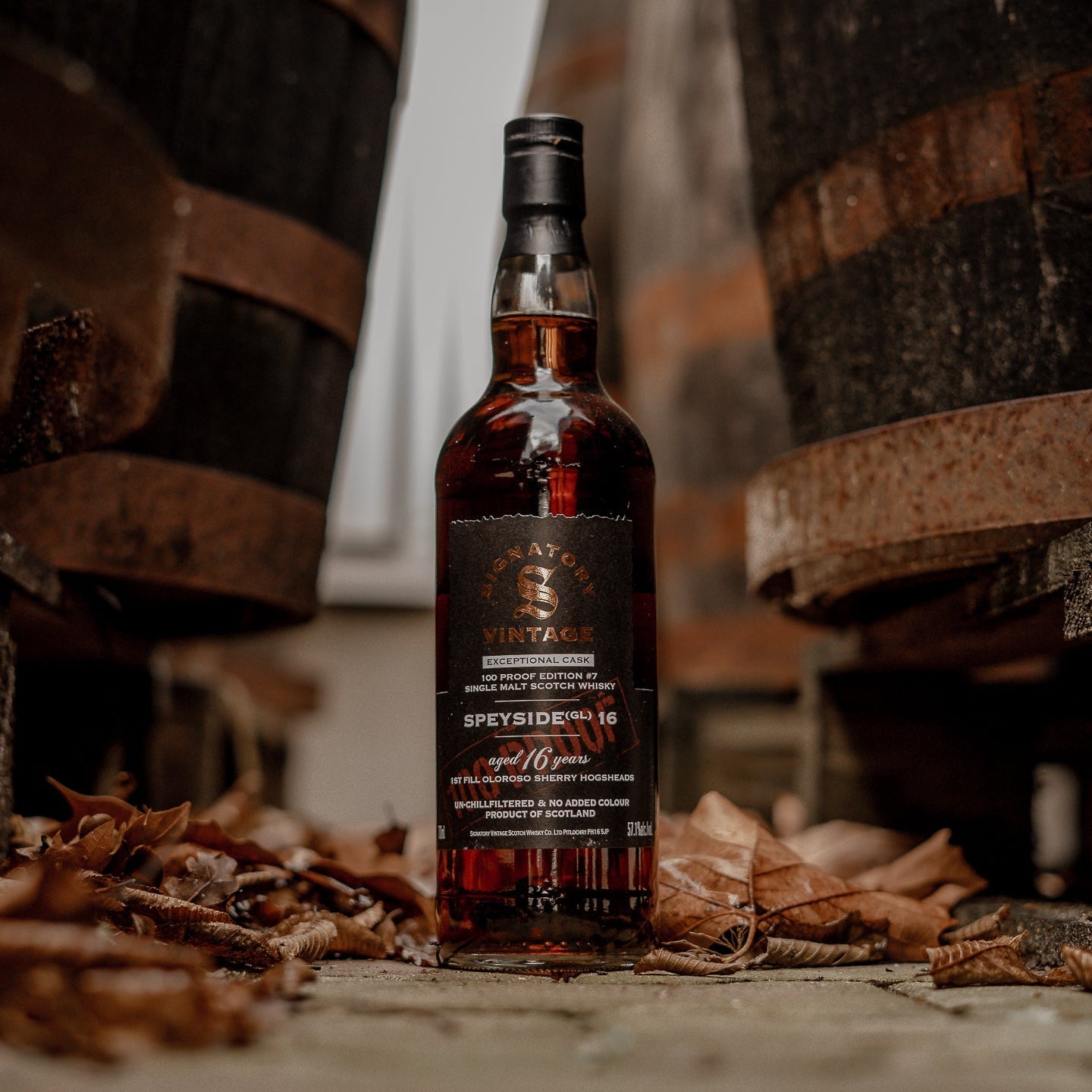 Speyside (GL) | 100 Proof Edition #7 | 16 Years | Signatory Vintage | 57,1%GET A BOTTLE